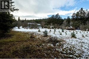 10151 Chase Road - Photo 51