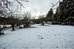 10151 Chase Road - Photo 52