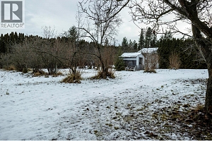 10151 Chase Road - Photo 53