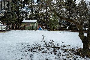 10151 Chase Road - Photo 54