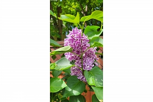 3930 26 Street - Photo 22