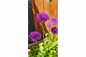 3930 26 Street - Photo 23