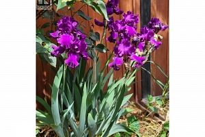 3930 26 Street - Photo 24