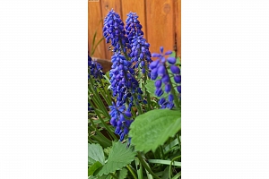 3930 26 Street - Photo 25