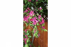 3930 26 Street - Photo 26