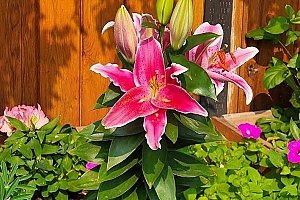 3930 26 Street - Photo 27