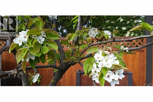 3930 26 Street - Photo 28