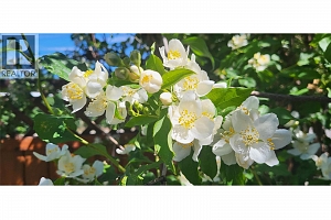 3930 26 Street - Photo 9