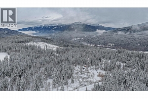 6739 Karjula Road - Photo 53