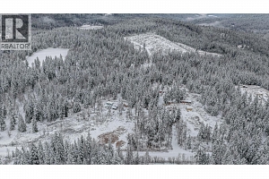 6739 Karjula Road - Photo 54