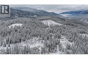 6739 Karjula Road - Photo 55