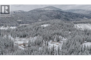 6739 Karjula Road - Photo 56