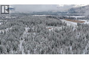 6739 Karjula Road - Photo 59