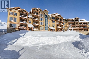 7700 Porcupine Road Unit# 209 - Photo 38