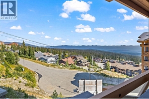 5300 Big White Road Unit# 101 - Photo 18