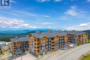 5300 Big White Road Unit# 101 - Photo 35