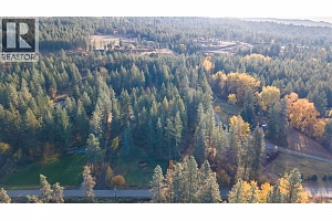 4019 Miller Road - Photo 50