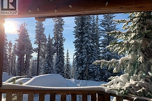 4809 C Snow Pines Road - Photo 2