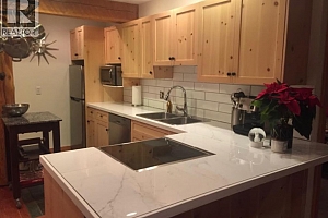 4809 C Snow Pines Road - Photo 3