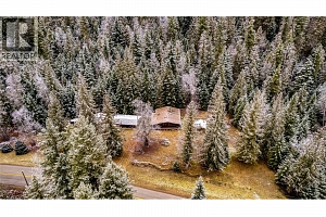 3137 Enderby Mabel Lake Road - Photo 3