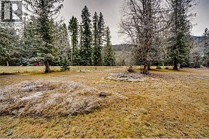 3137 Enderby Mabel Lake Road - Photo 31