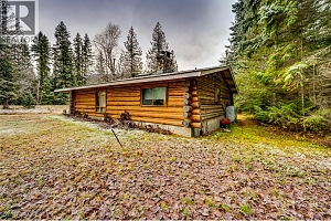 3137 Enderby Mabel Lake Road - Photo 35