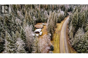 3137 Enderby Mabel Lake Road - Photo 4