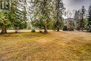 3137 Enderby Mabel Lake Road - Photo 44