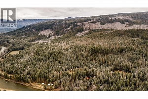 3137 Enderby Mabel Lake Road - Photo 52