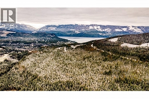 3137 Enderby Mabel Lake Road - Photo 54