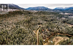 3137 Enderby Mabel Lake Road - Photo 55