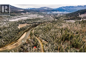 3137 Enderby Mabel Lake Road - Photo 57