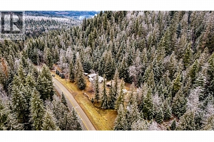 3137 Enderby Mabel Lake Road - Photo 58