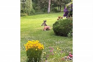 1101 Cameron Avenue Unit# 60 - Photo 45