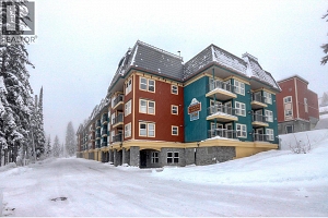 155 Silver Lode Lane Unit# 456 - Photo 2