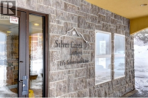 155 Silver Lode Lane Unit# 456 - Photo 4