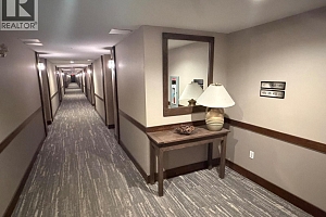 155 Silver Lode Lane Unit# 456 - Photo 47