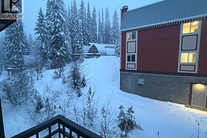 155 Silver Lode Lane Unit# 456 - Photo 51