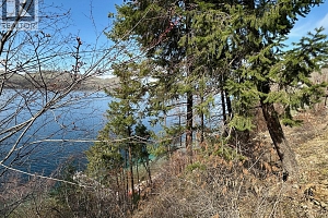 5649 Cosens Bay Road Lot# 11A - Photo 13