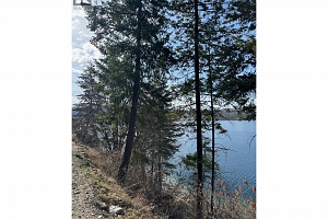 5649 Cosens Bay Road Lot# 11A - Photo 9