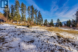 9534 Hodges Road - Photo 19