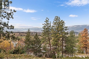 1180 Ray Road - Photo 54