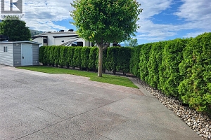 8000 Highland Road Unit# 113 - Photo 4