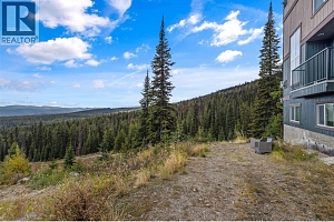 40 Kettle View Road Unit# 437F - Photo 59