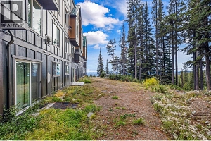 40 Kettle View Road Unit# 437F - Photo 60