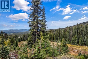 40 Kettle View Road Unit# 437F - Photo 61