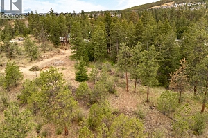 13151 Old Mission Road - Photo 7