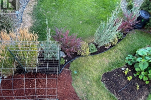 3166 Mustang Court - Photo 63