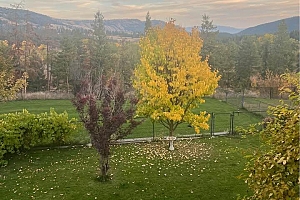 3888 Salmon River Road - Photo 40