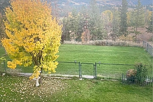 3888 Salmon River Road - Photo 41